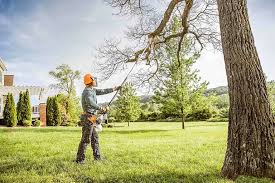 Best Tree and Shrub Care  in Delafield, WI