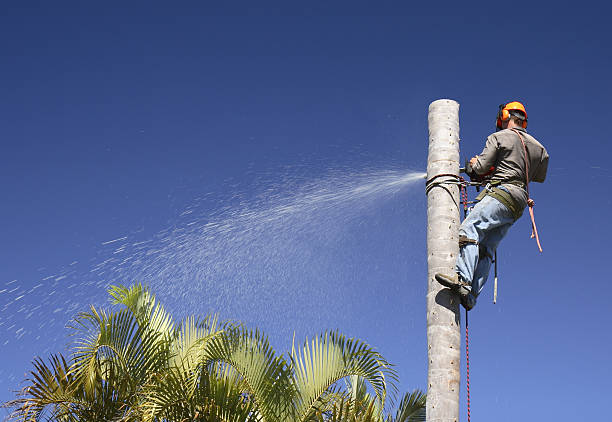 Best Lawn Watering Services  in Delafield, WI